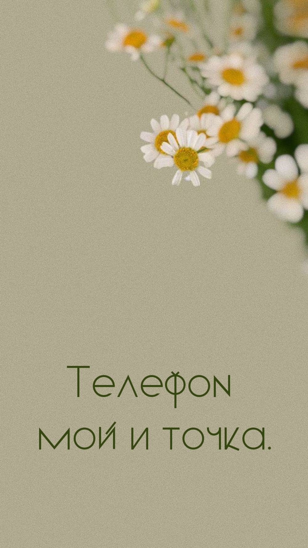 Телефон мой и точка.