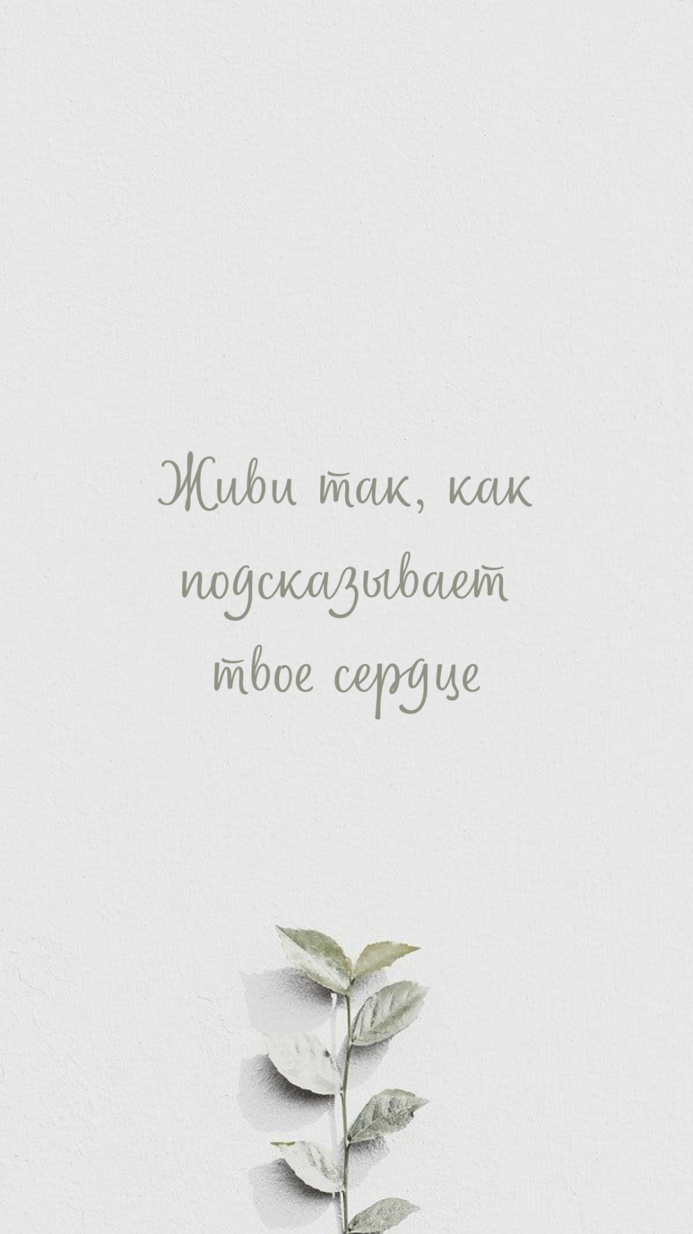 Живи так, как подсказывает твое сердце