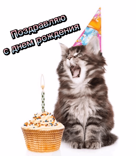 Поздравляю с днем рождения.