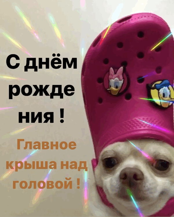 С днём рождения! Главное крыша над головой!