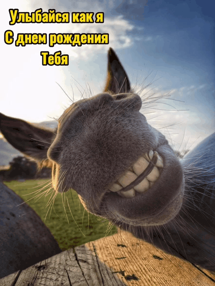 Картинки с надписями.  Улыбайся как я, с днем рождения тебя!.