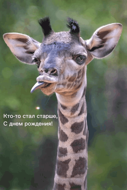 Кто — то стал старше,с днем рождения!