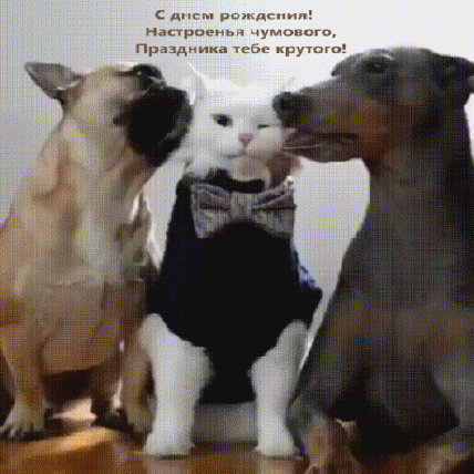 С днем рождения! Настроенья чумового