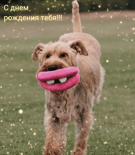 С Днём Рождения тебя!