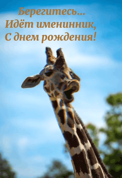 Берегись идёт именинник, с днем рождения!