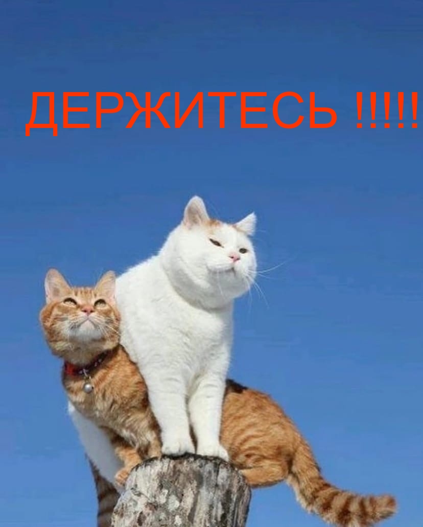 Держитесь!