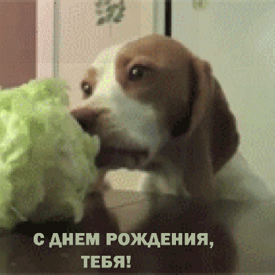 С ДНЕМ РОЖДЕНИЯ, ТЕБЯ!