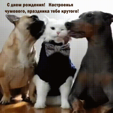 С днем рождения! Настроенья чумового
