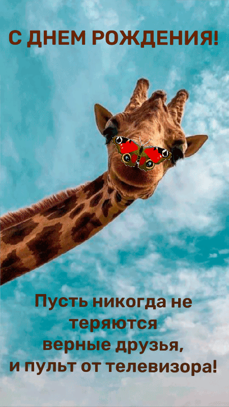 Пусть никогда не теряются верные друзья