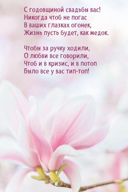 С годовщиной свадьбы! Никогда чтоб не погас в глазках огонек