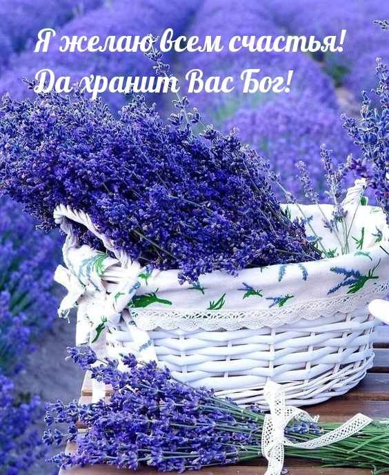 Я желаю всем счастья! Да хранит Вас Бог!
