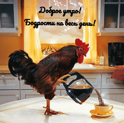 Доброе утро! Бодрости на весь день!
