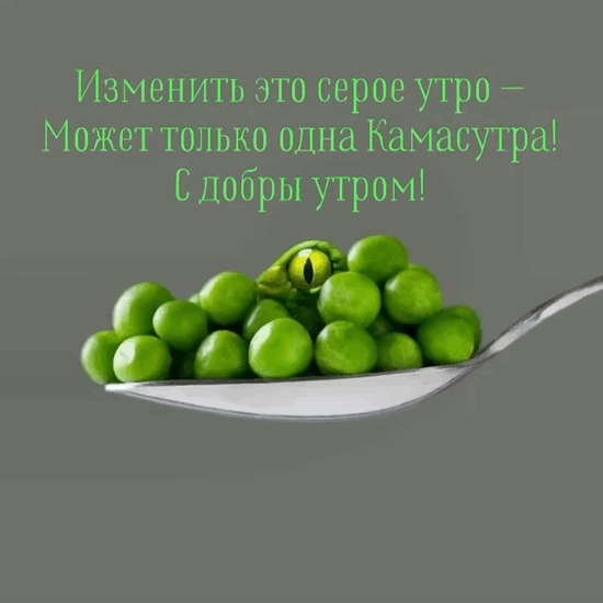Изменить серое утро — может Камасутра.