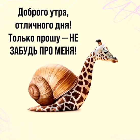 Доброго утра, отличного дня!