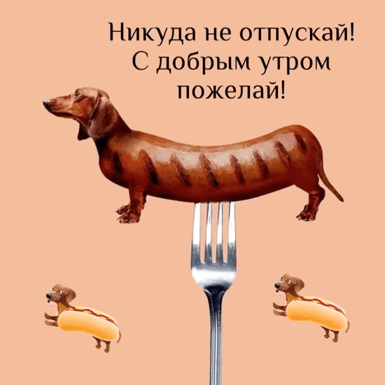Никуда не отпускай С добрым утром!