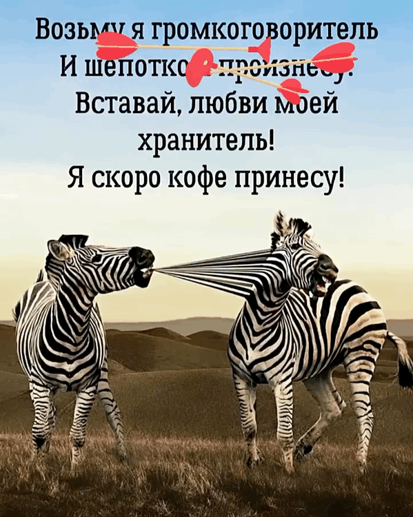 Вставай, любви моей хранитель!