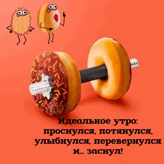 Идеальное утро: проснулся и… заснул!