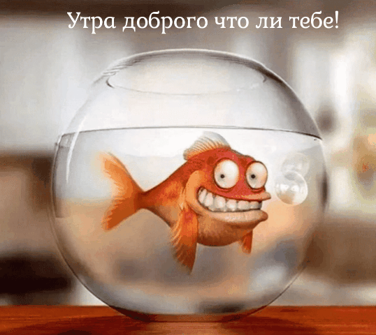 Утра доброго что ли тебе!