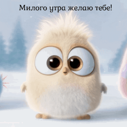 Милого утра желаю тебе!