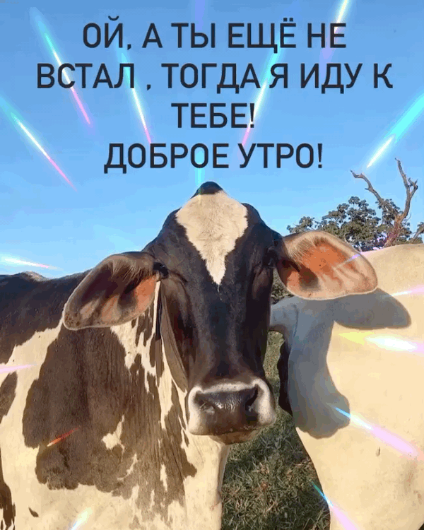 Ой, а ты ещё не встал , тогда я иду к тебе !