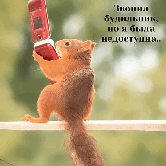 Звонил будильник, но я была недоступна..