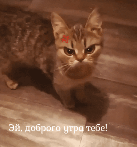 Эй, доброго утра тебе!