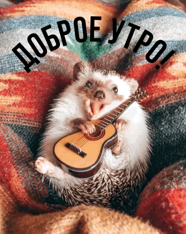 Доброе утро!