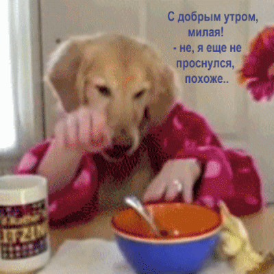 С добрым утром, милая!