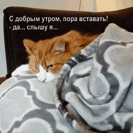 С добрым утром, пора вставать!