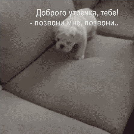 Доброго утречка, тебе! — позвони мне