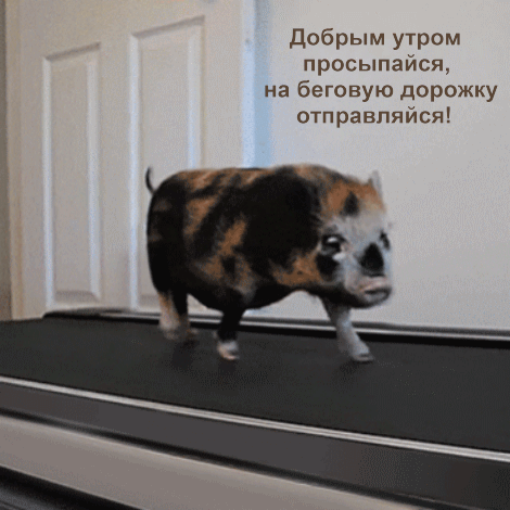 Добрым утром просыпайся