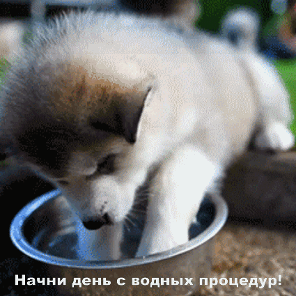 Начни день с водных процедур!