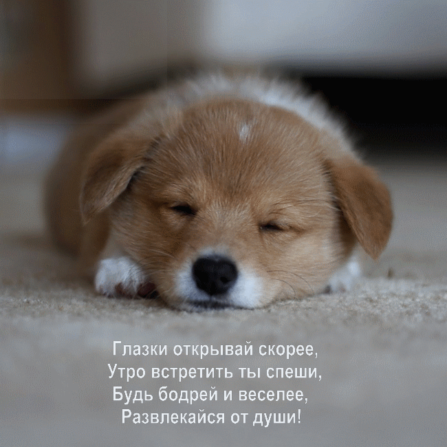 Глазки открывай, утро встретить ты спеши