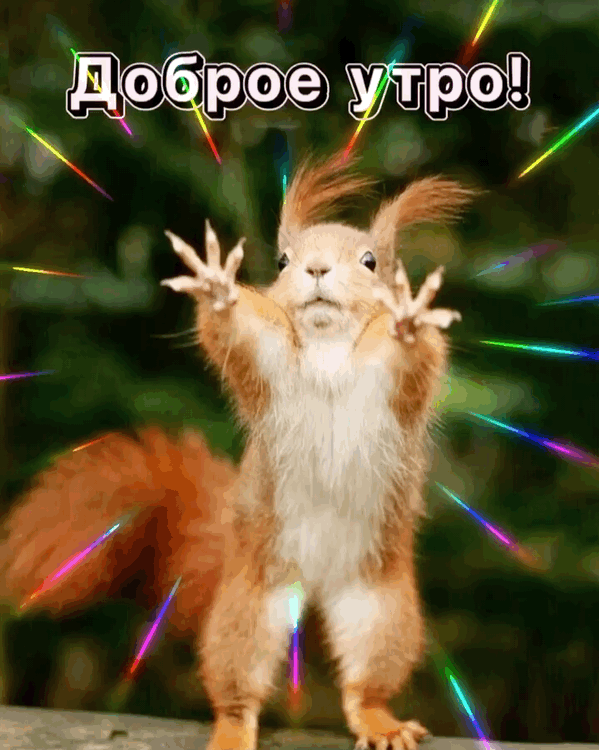 Доброе утро!