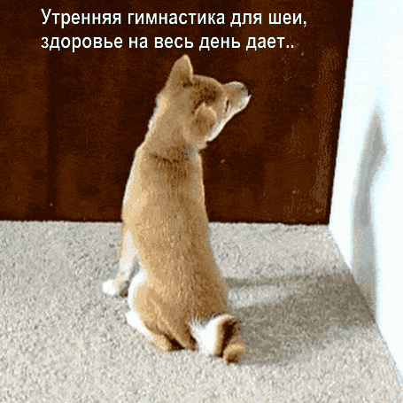 Гимнастика для шеи, здоровье на день дает