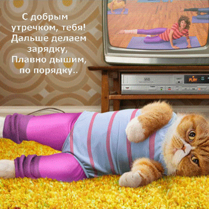 С добрым утречком! Дальше делаем зарядку