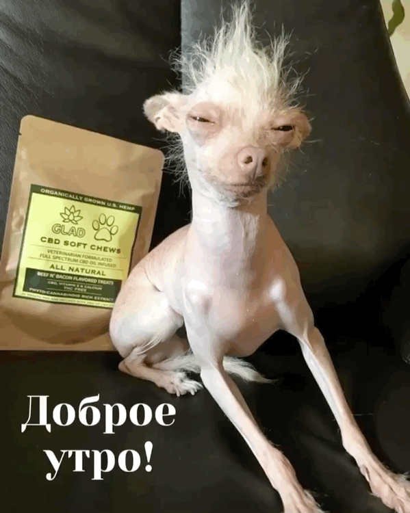 Доброе утро!