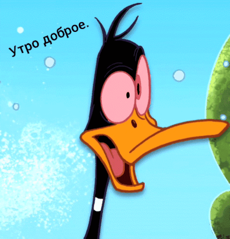 Утро доброе.
