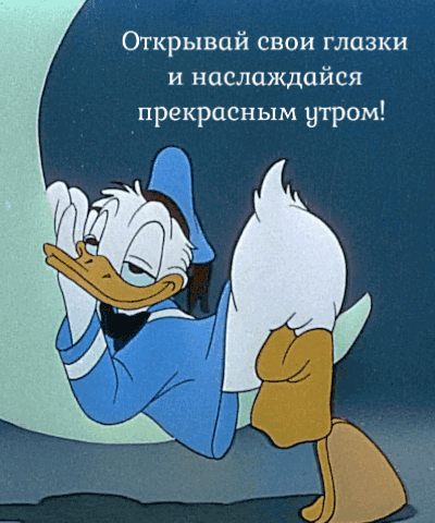 Открывай свои глазки и наслаждайся утром!