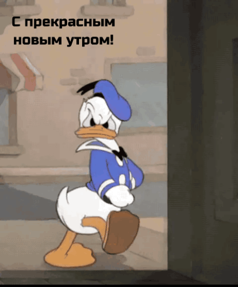 С прекрасным новым утром!
