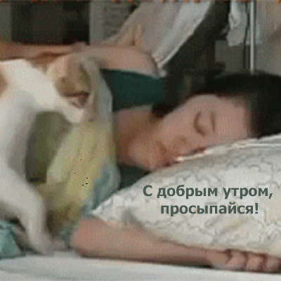 С добрым утром, просыпайся!