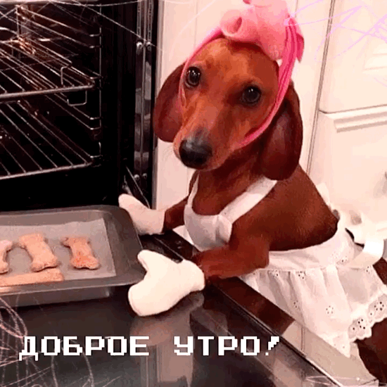 Доброе утро!
