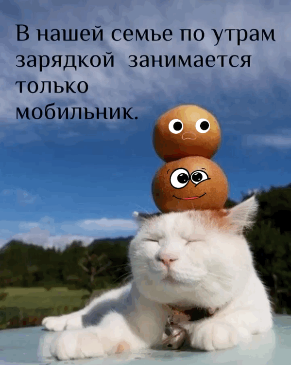 Зарядкой занимается только мобильник!