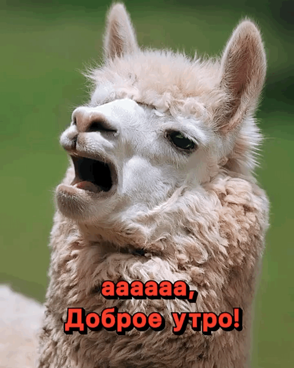 Аааааааа, Доброе утро!
