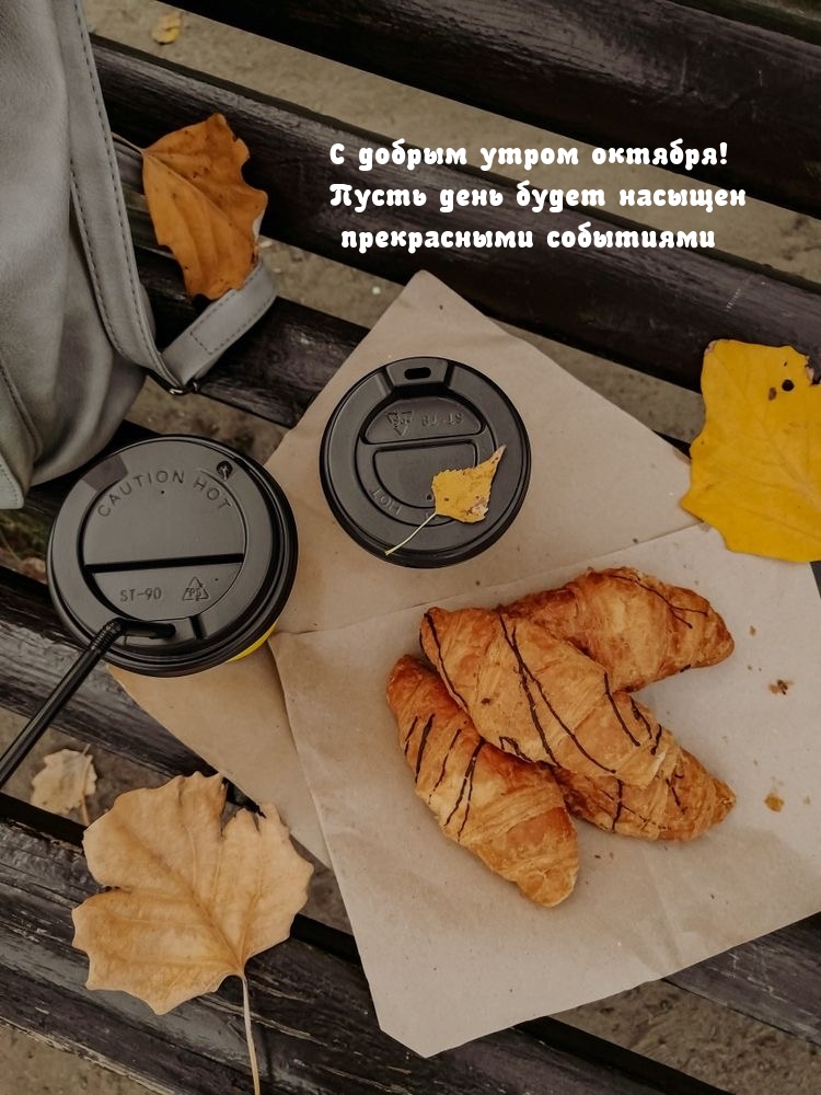 С добрым утром октября! Пусть день будет насыщен