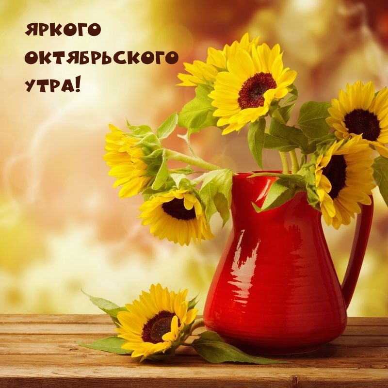 Яркого Oктябрьского Утра!