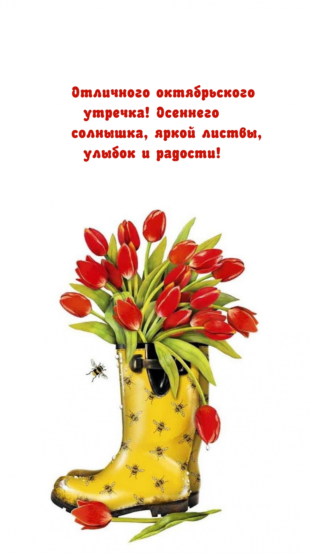 Отличного октябрьского утречка! Осеннего солнышка