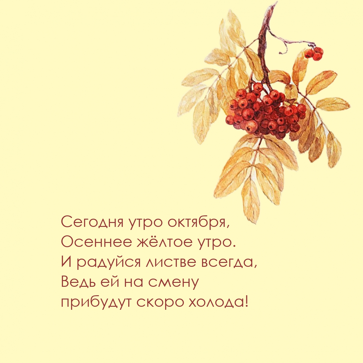 Сегодня утро октября, осеннее жёлтое утро.