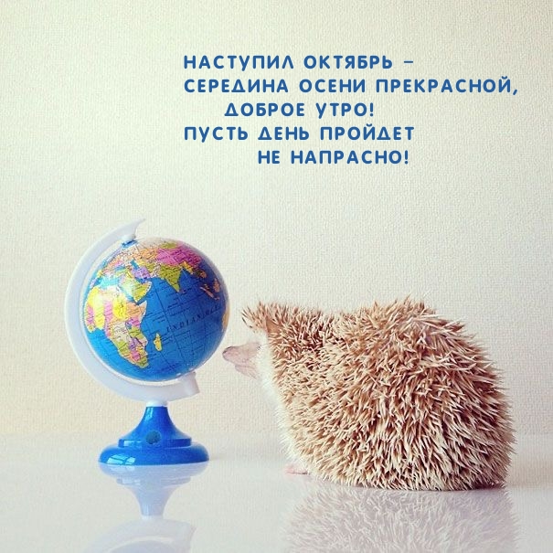 Наступил октябрь – середина осени прекрасной, Доброе утро!
