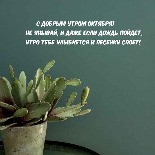 С добрым утром Октября! Не унывай, и даже если дождь пойдет